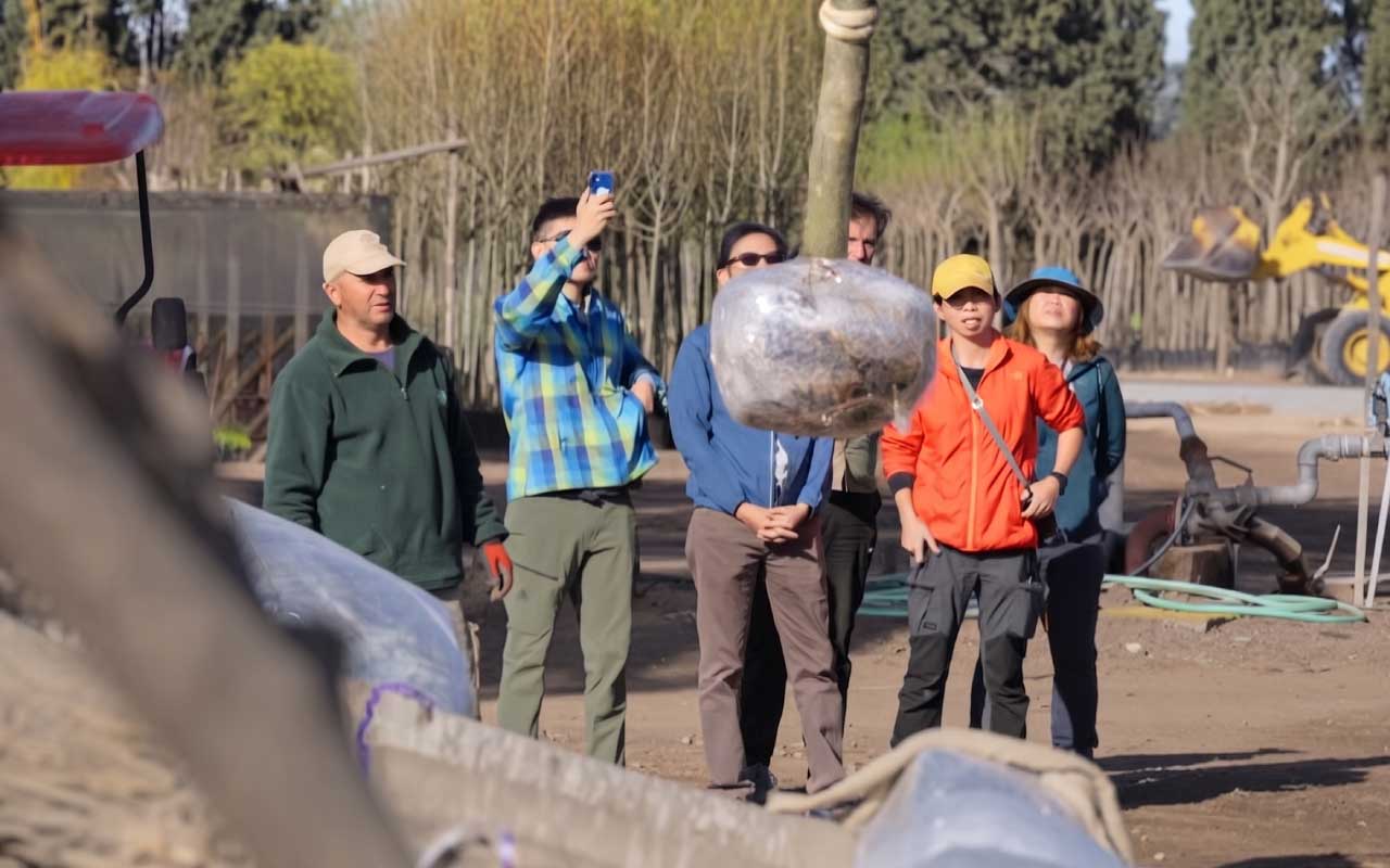 Miembros de la misión botánica de Singapur eligiendo ejemplares en Vivero de Lobos